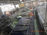北陸コカ・コーラボトリング砺波工場様見学